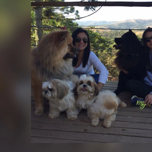 pele saudável após tratamento de estética facial em Campinas
